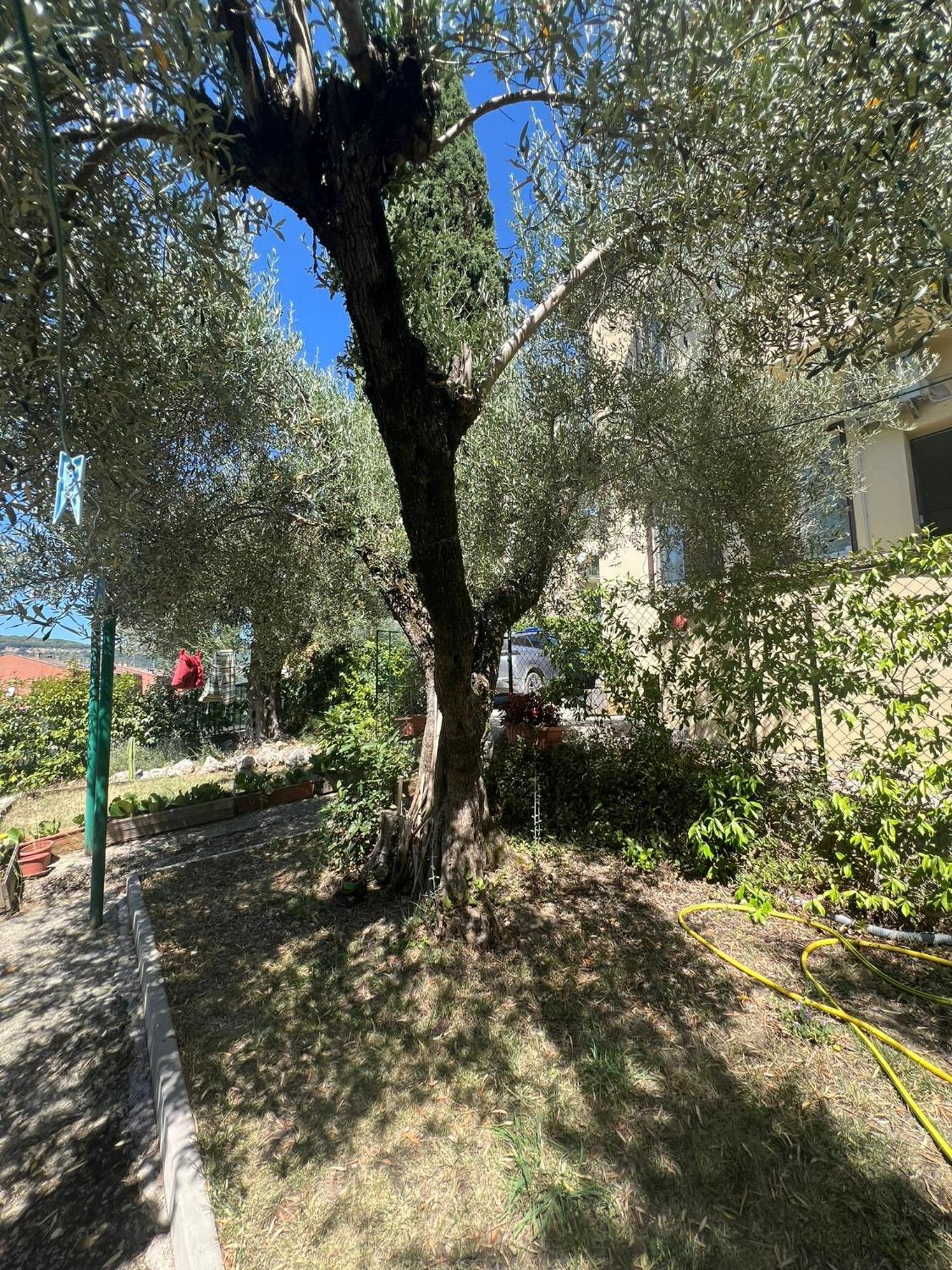 La Delle Idee Santa Lucia Apartment